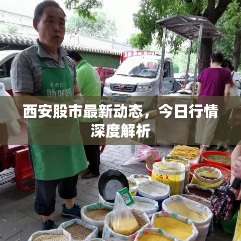 西安股市最新动态，今日行情深度解析