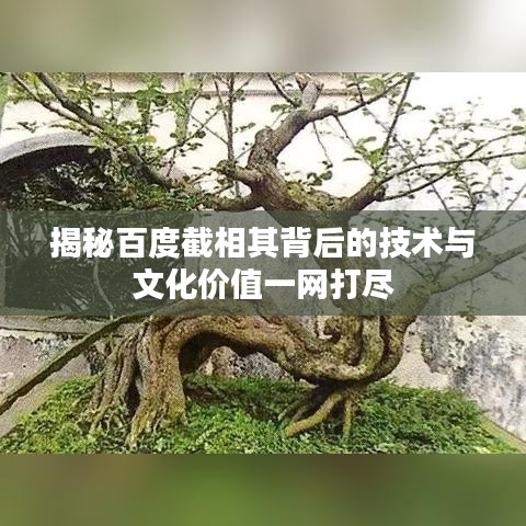 揭秘百度截相其背后的技术与文化价值一网打尽