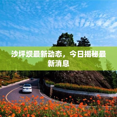 沙坪坝最新动态,今日揭秘最新消息