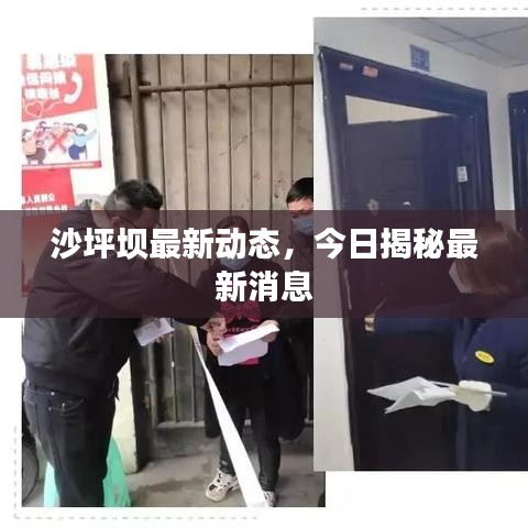 沙坪坝最新动态,今日揭秘最新消息