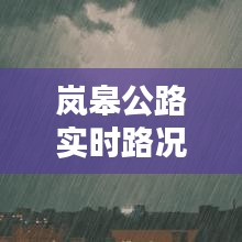 岚皋公路实时路况更新，今日路况最新消息速览