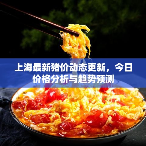 上海最新猪价动态更新，今日价格分析与趋势预测