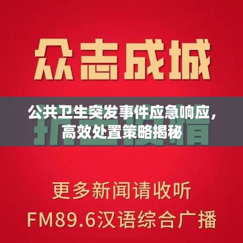 公共卫生突发事件应急响应，高效处置策略揭秘
