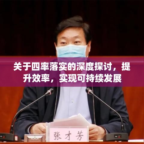 关于四率落实的深度探讨，提升效率，实现可持续发展