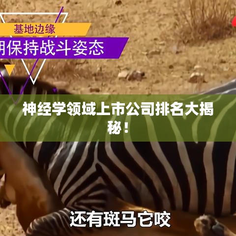 神经学领域上市公司排名大揭秘！