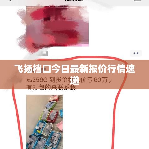 飞扬档口今日最新报价行情速递