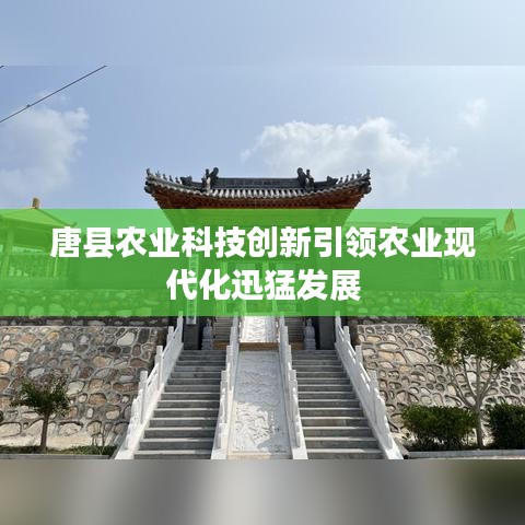 联系方式 第118页