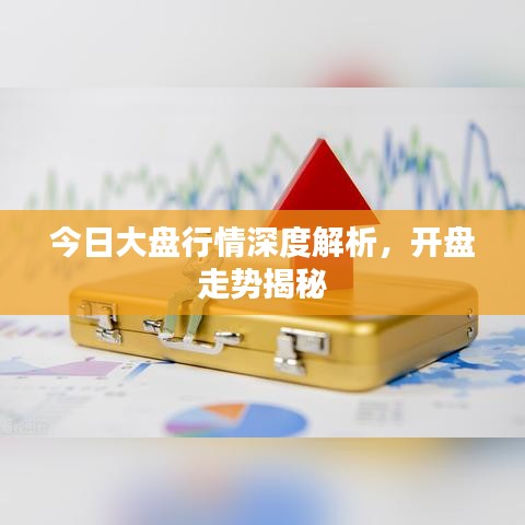 文贵天成 第3页