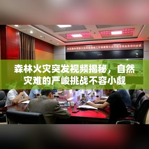 森林火灾突发视频揭秘，自然灾难的严峻挑战不容小觑