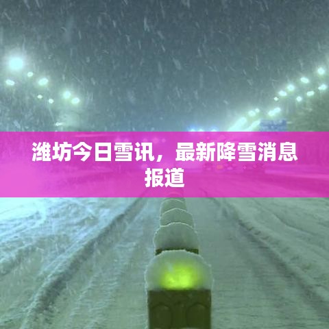 潍坊今日雪讯,最新降雪消息报道
