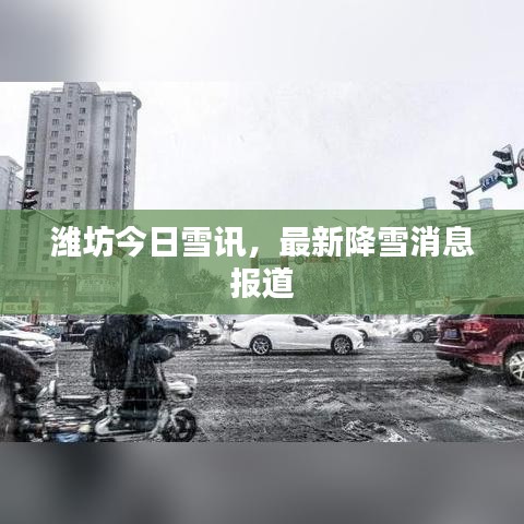 潍坊今日雪讯,最新降雪消息报道