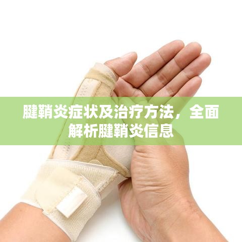 关于我们 第113页