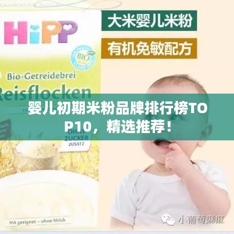 婴儿初期米粉品牌排行榜TOP10，精选推荐！
