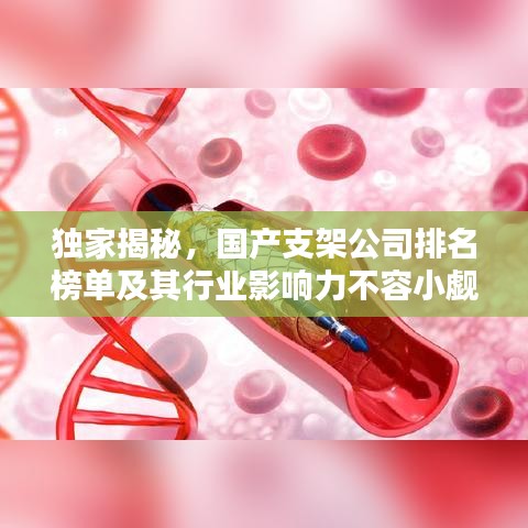 独家揭秘，国产支架公司排名榜单及其行业影响力不容小觑！