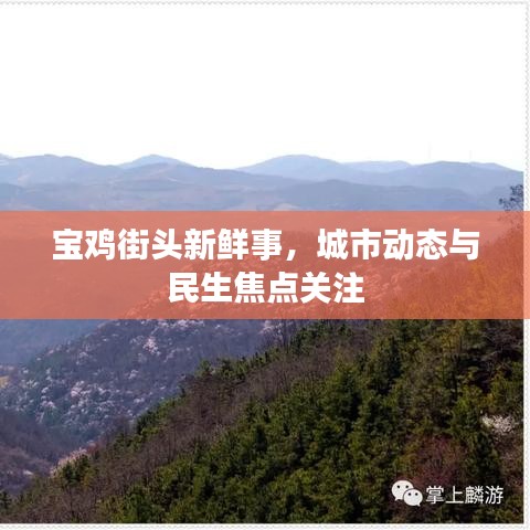 宝鸡街头新鲜事，城市动态与民生焦点关注