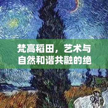 梵高稻田，艺术与自然和谐共融的绝美之境