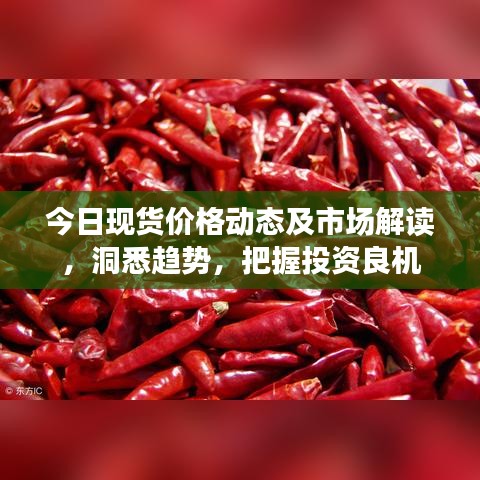 今日现货价格动态及市场解读，洞悉趋势，把握投资良机