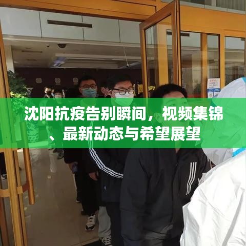 沈阳抗疫告别瞬间,视频集锦、最新动态与希望展望