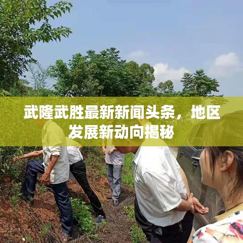 武隆武胜最新新闻头条，地区发展新动向揭秘