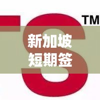 新加坡短期签证申请最新攻略指南