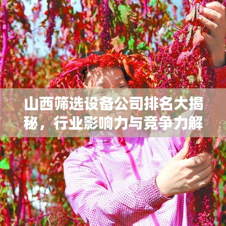 山西筛选设备公司排名大揭秘，行业影响力与竞争力解析