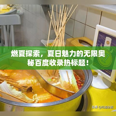 燃夏探索，夏日魅力的无限奥秘百度收录热标题！