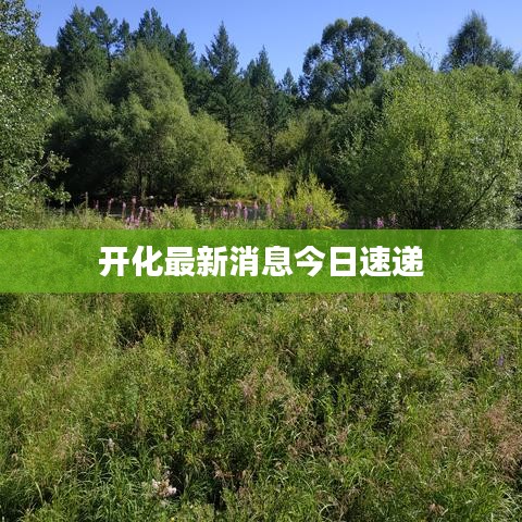 开化最新消息今日速递