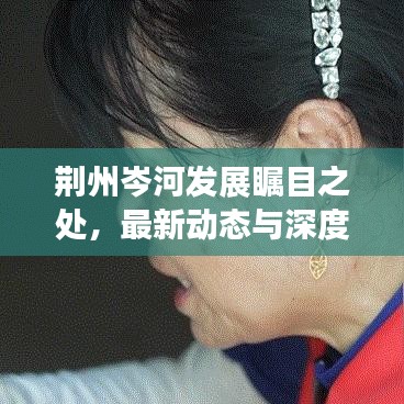 荆州岑河发展瞩目之处，最新动态与深度观察新闻头条