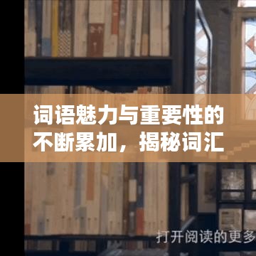 词语魅力与重要性的不断累加，揭秘词汇背后的力量！