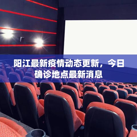 阳江最新疫情动态更新，今日确诊地点最新消息