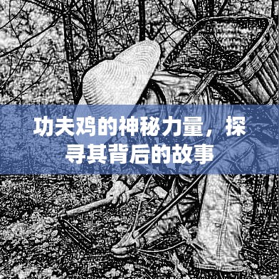 功夫鸡的神秘力量，探寻其背后的故事