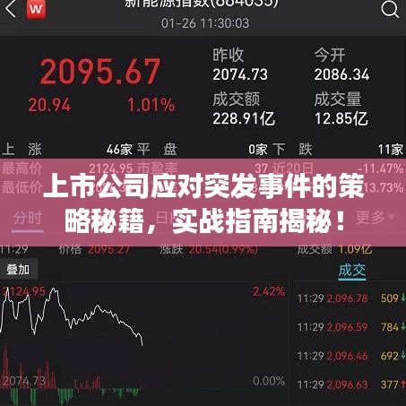 上市公司应对突发事件的策略秘籍，实战指南揭秘！