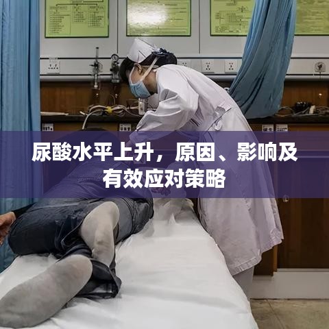 尿酸水平上升，原因、影响及有效应对策略