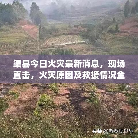 渠县今日火灾最新消息，现场直击，火灾原因及救援情况全解析