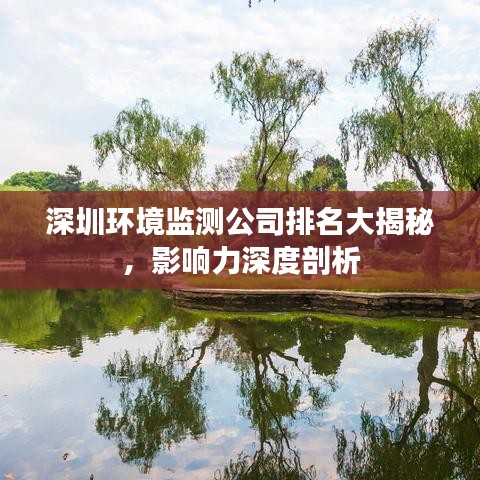 深圳环境监测公司排名大揭秘，影响力深度剖析