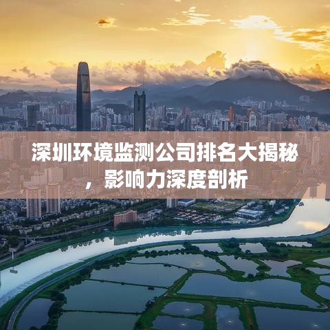 深圳环境监测公司排名大揭秘,影响力深度剖析