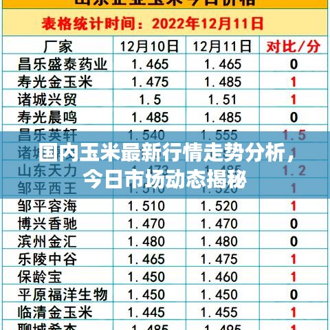 国内玉米最新行情走势分析，今日市场动态揭秘