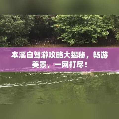 本溪自驾游攻略大揭秘,畅游美景,一网打尽!