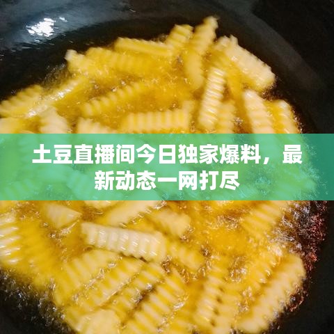 飞奇钩货 第2页