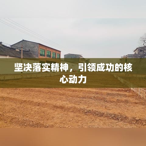 坚决落实精神，引领成功的核心动力