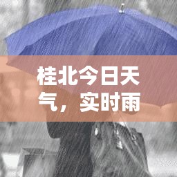 桂北今日天气，实时雨情及最新更新消息速递