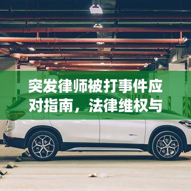 真独简贵 第2页