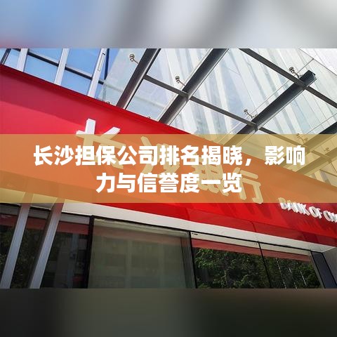 长沙担保公司排名揭晓，影响力与信誉度一览