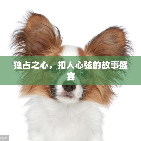 独占之心,扣人心弦的故事盛宴