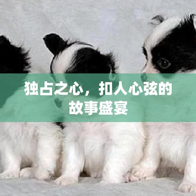 独占之心,扣人心弦的故事盛宴