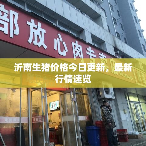沂南生猪价格今日更新，最新行情速览