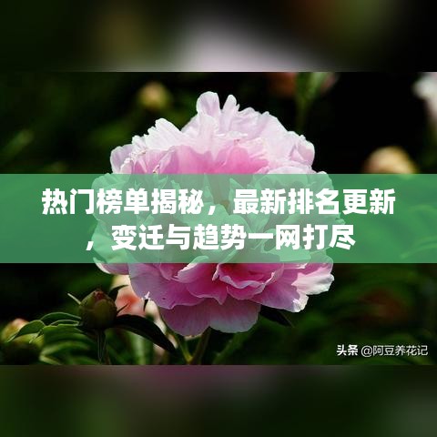 热门榜单揭秘,最新排名更新,变迁与趋势一网打尽