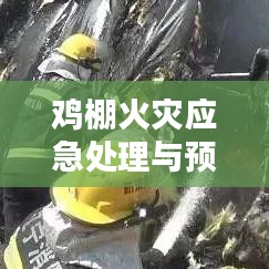 鸡棚火灾应急处理与预防策略全解析