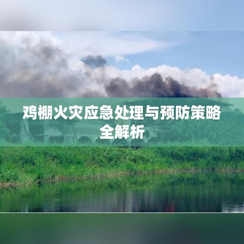 关于我们 第102页