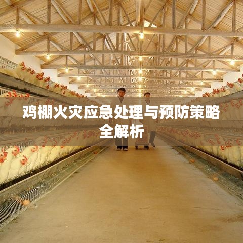鸡棚火灾应急处理与预防策略全解析